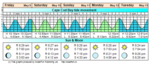 Tidal Conditions